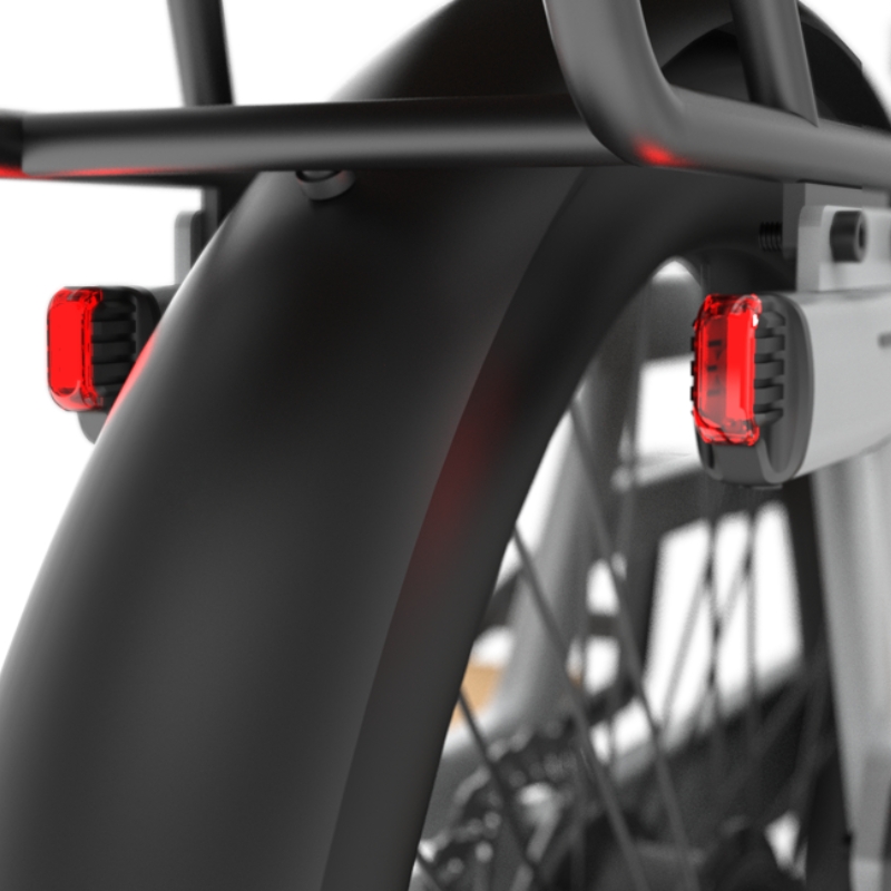 Xe đạp trợ lực điện Nishiki - E-BIKES 24INH 2N122– CHAIN (10)